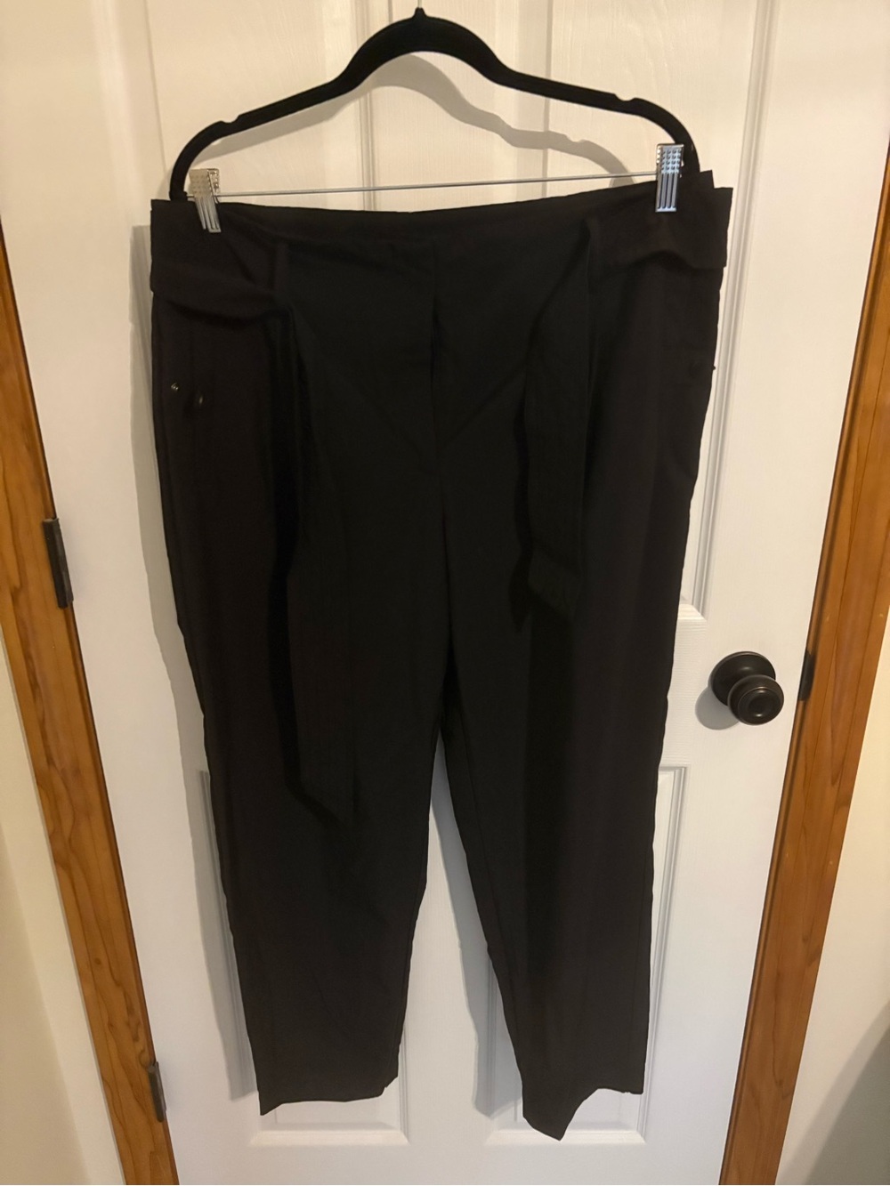 Zara pants